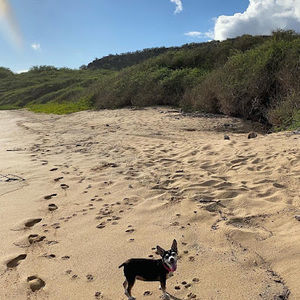 Meet your Posher, Kelly